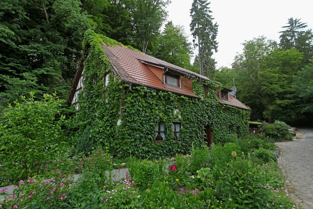 Hotel Boltenmuehle Guhlen Glienicke Номер фото